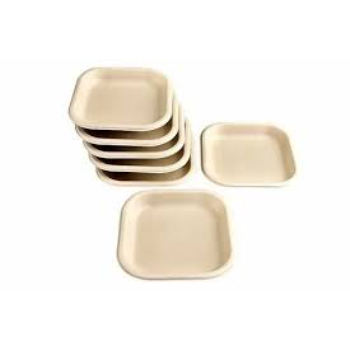Color Coated Bagasse Disposable Plate
