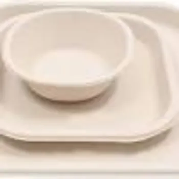 Ragavi Enterprises Biodegradable Tray