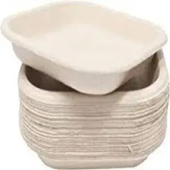 Off White Bagasse Disposable Plate