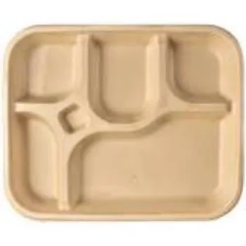 Custom Design Bagasse Disposable Plate