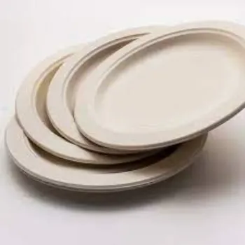 Fine Finish Bagasse Disposable Plate