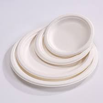 Standard Bagasse Disposable Plate