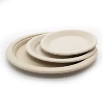 Sustainable Bagasse Disposable Plate