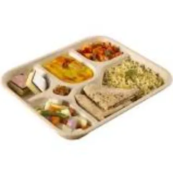 Simple Bagasse Disposable Plate