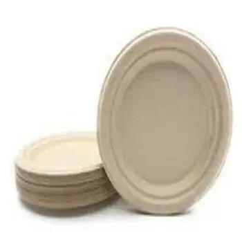 Utility Dishes Bagasse Disposable Plate
