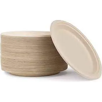 Bagasse Disposable Plate