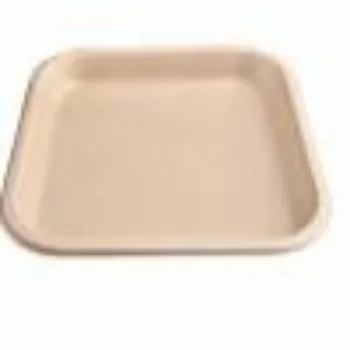 Pepreco Industries Bagasse Disposable Plate