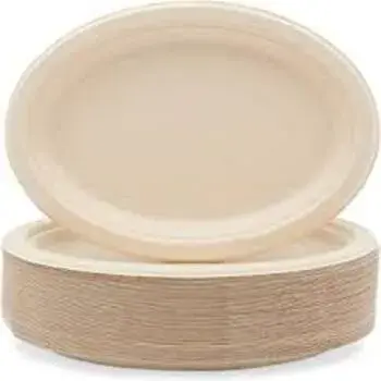 Plain Bagasse Disposable Plate