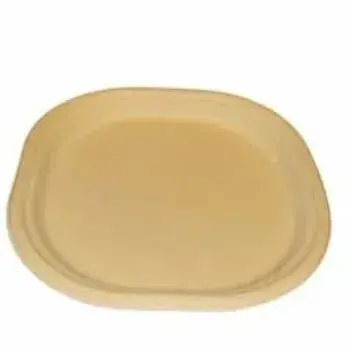 Bagasse Disposable Plate