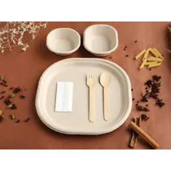 Bagasse Disposable Plate