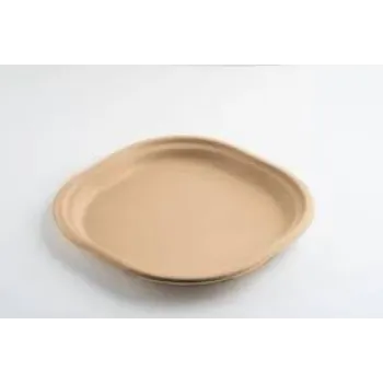 Multicolor Bagasse Disposable Plate