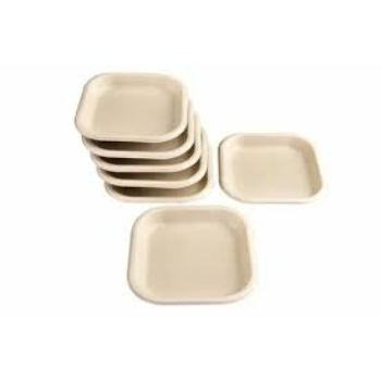 Bagasse Disposable Plate
