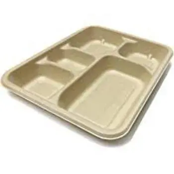 Bagasse Disposable Plate