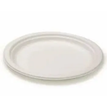 Rudrapriya Bagasse Disposable Plate