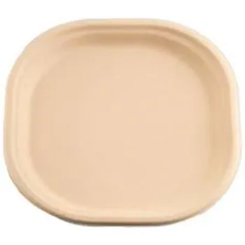 Standard Bagasse Disposable Plate