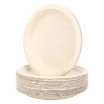 Best Quality Bagasse Disposable Plate