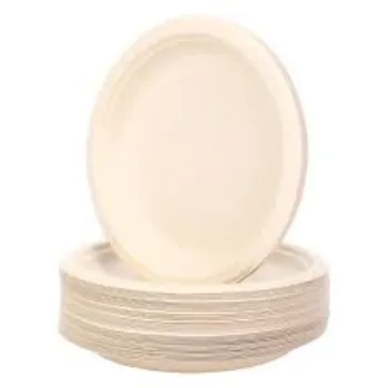 High Quality Bagasse Disposable Plate