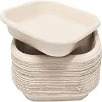 Fine Finish Bagasse Disposable Plate