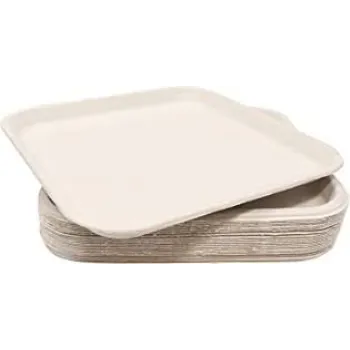 Simple Bagasse Disposable Plate