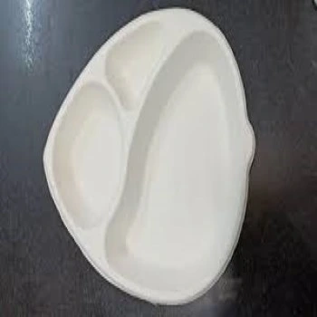 Bagasse Disposable Plate