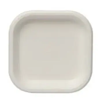 Bagasse Disposable Plate