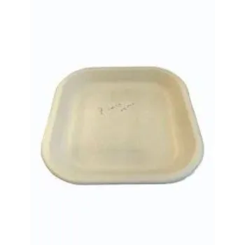Bagasse Disposable Plate