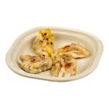Bagasse Disposable Plate