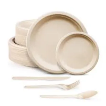 Bagasse Disposable Plate