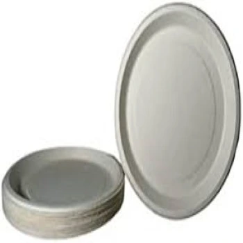 Good Quality Bagasse Disposable Plate