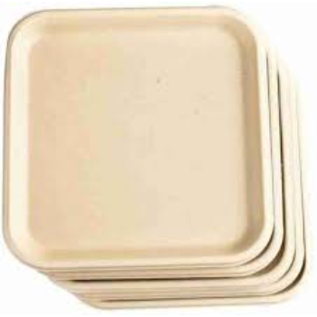 Custom Design Bagasse Disposable Plate