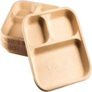  Disposable Plate