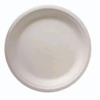 Eco Friendly Bagasse Disposable Plate