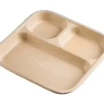 Bagasse Disposable Plate