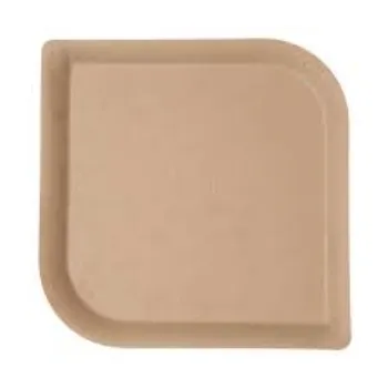 New Bagasse Disposable Plate