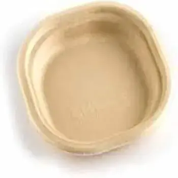  Rust Proof Bagasse Disposable Plate