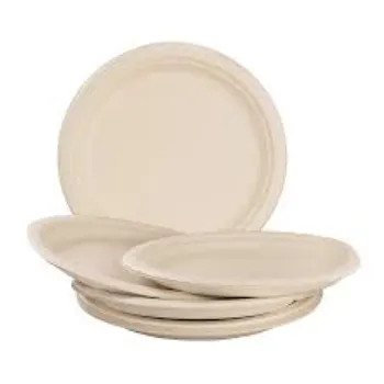 Surya Bagasse Disposable Plate