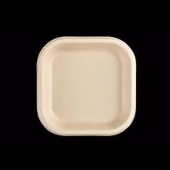 Biodegradable Bagasse Disposable Plate