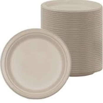 Bagasse Disposable Plate