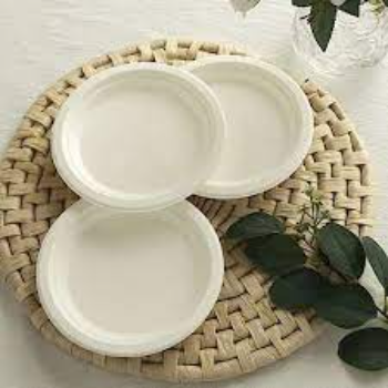 Liquid Hold Bagasse Disposable Plate