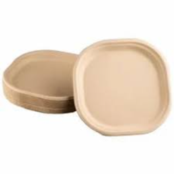 Square Bagasse Disposable Plate