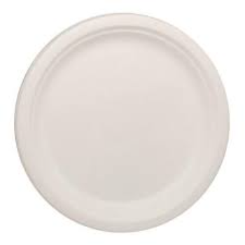 White Bagasse Disposable Plate