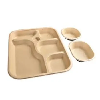 New Bagasse Disposable Plate