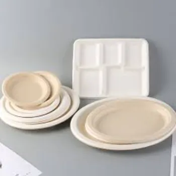 Round Bagasse Disposable Plate