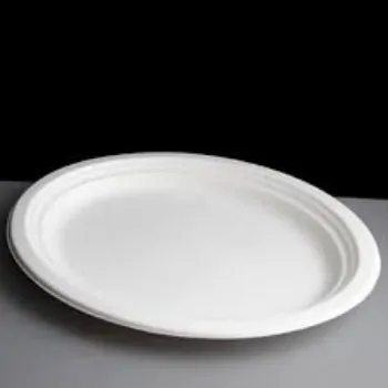 Disposable Biodegradable Tray