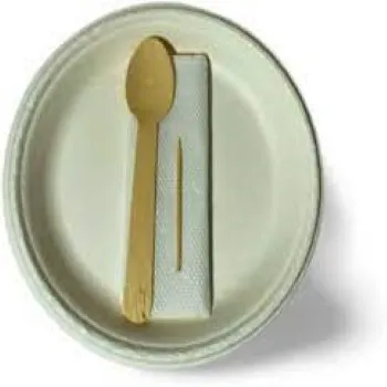 Fine Finish Bagasse Disposable Plate