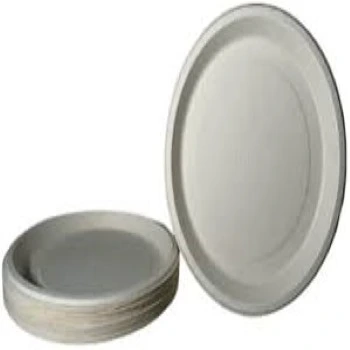 Multisizes Bagasse Disposable Plate