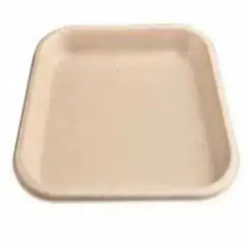  Good Quality Bagasse Disposable Plate