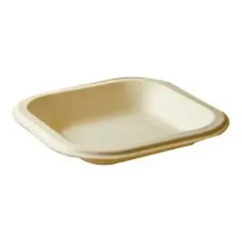 Bagasse Disposable Plate