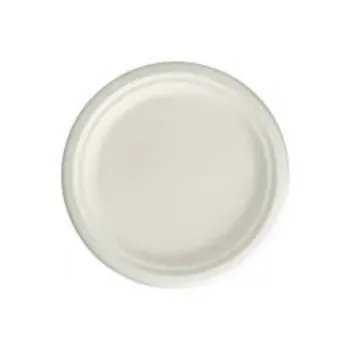 Disposable Bagasse Disposable Plate