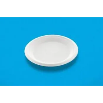 Solid Bagasse Disposable Plate